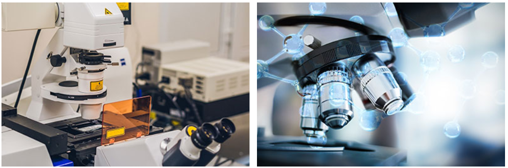 微生物檢測 微生物檢測